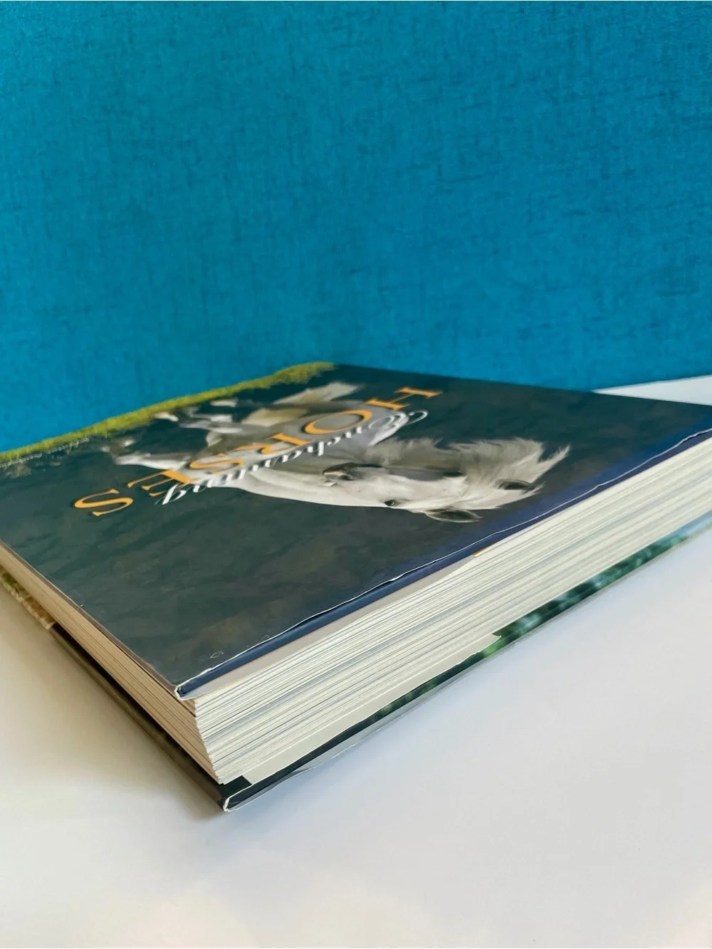 Enchanting Horses by Jennifer Anderson Hardcover book